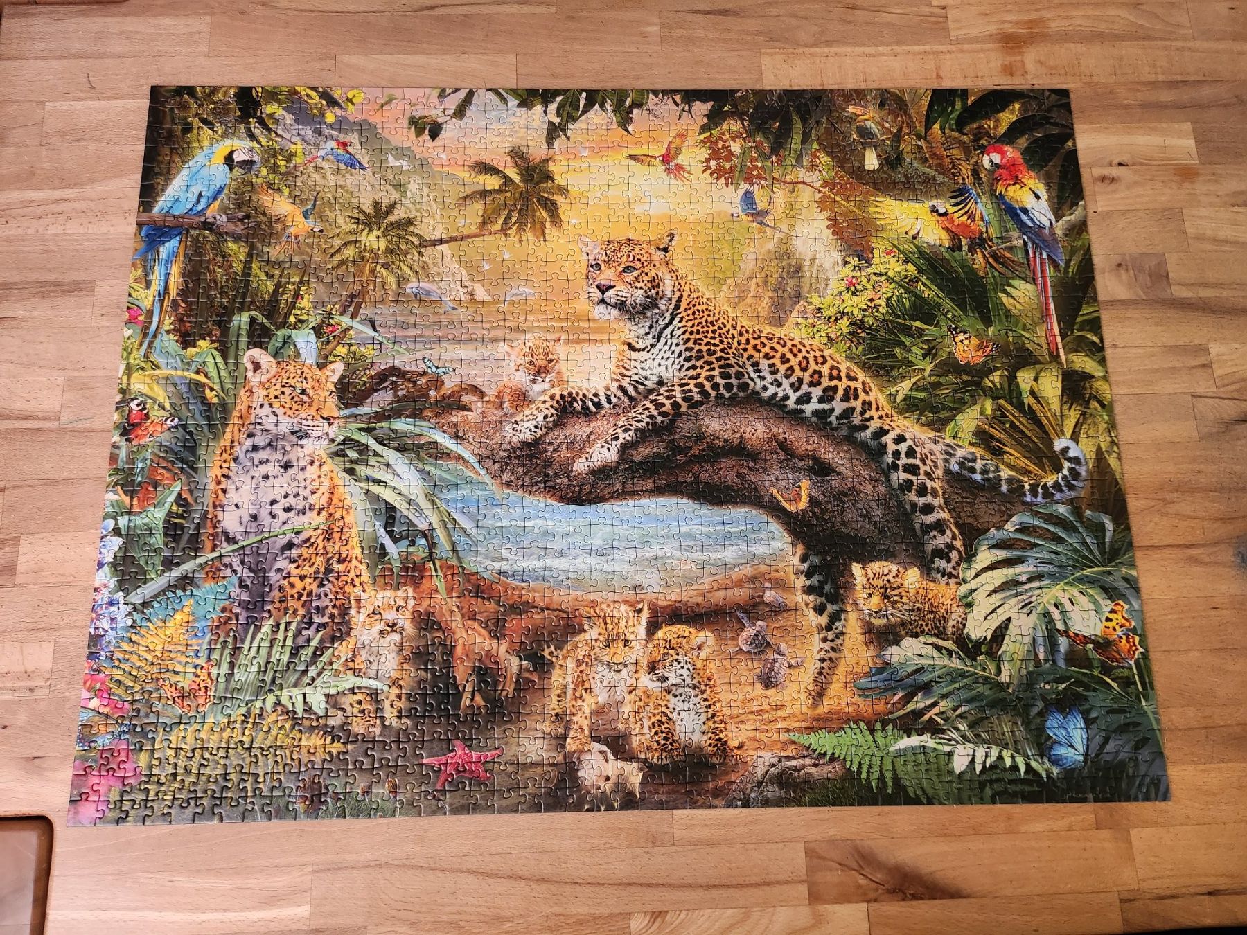 Ravensburger Puzzle: Ravensburger Puzzle 1500 Teile - Leopard im Dschungel – Usato da Veltheim AG venduto da D.B_1983
