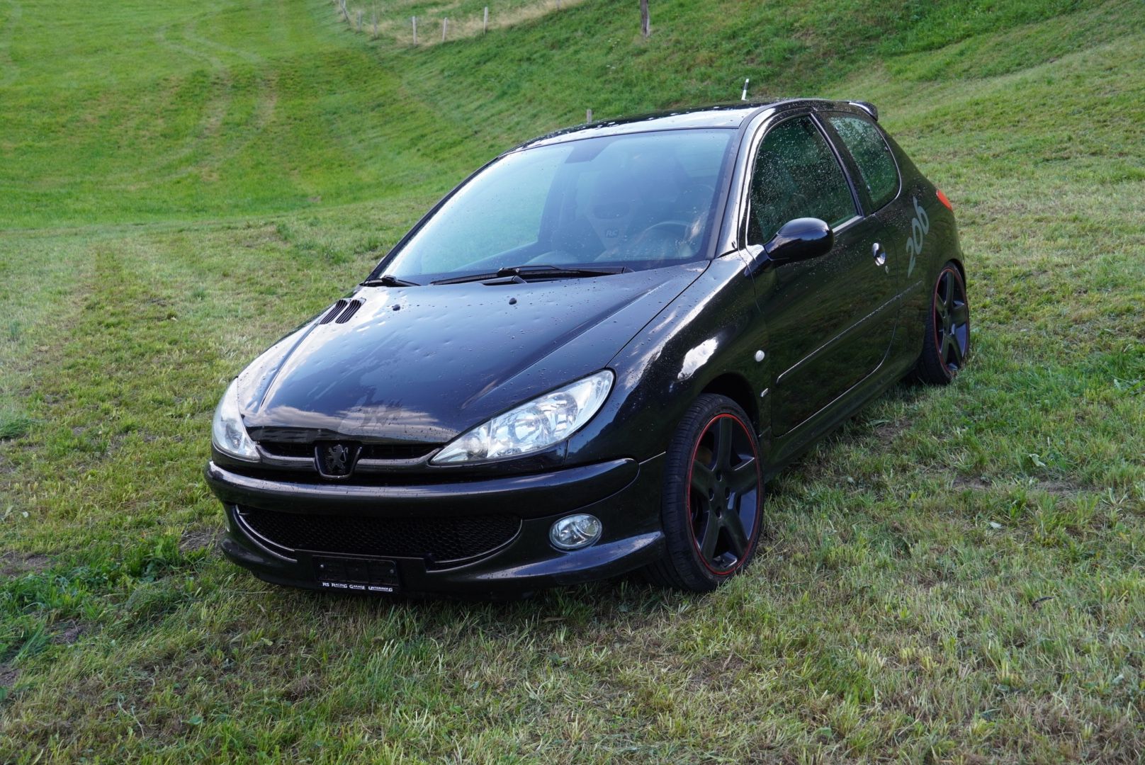 Peugeot Automobili: Peugeot 206 RC – Usato da Alpthal venduto da Birchler206