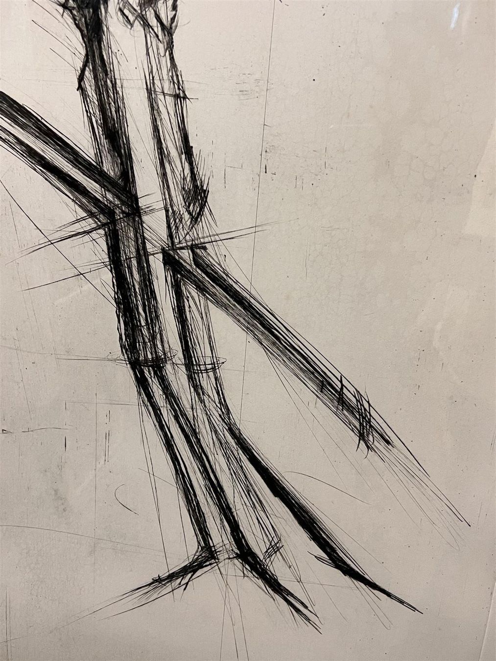 Foto & Immagini: Schang Hutter Riesige Radierung 101 cm – Usato da Adliswil venduto da buch_und_kunst 5