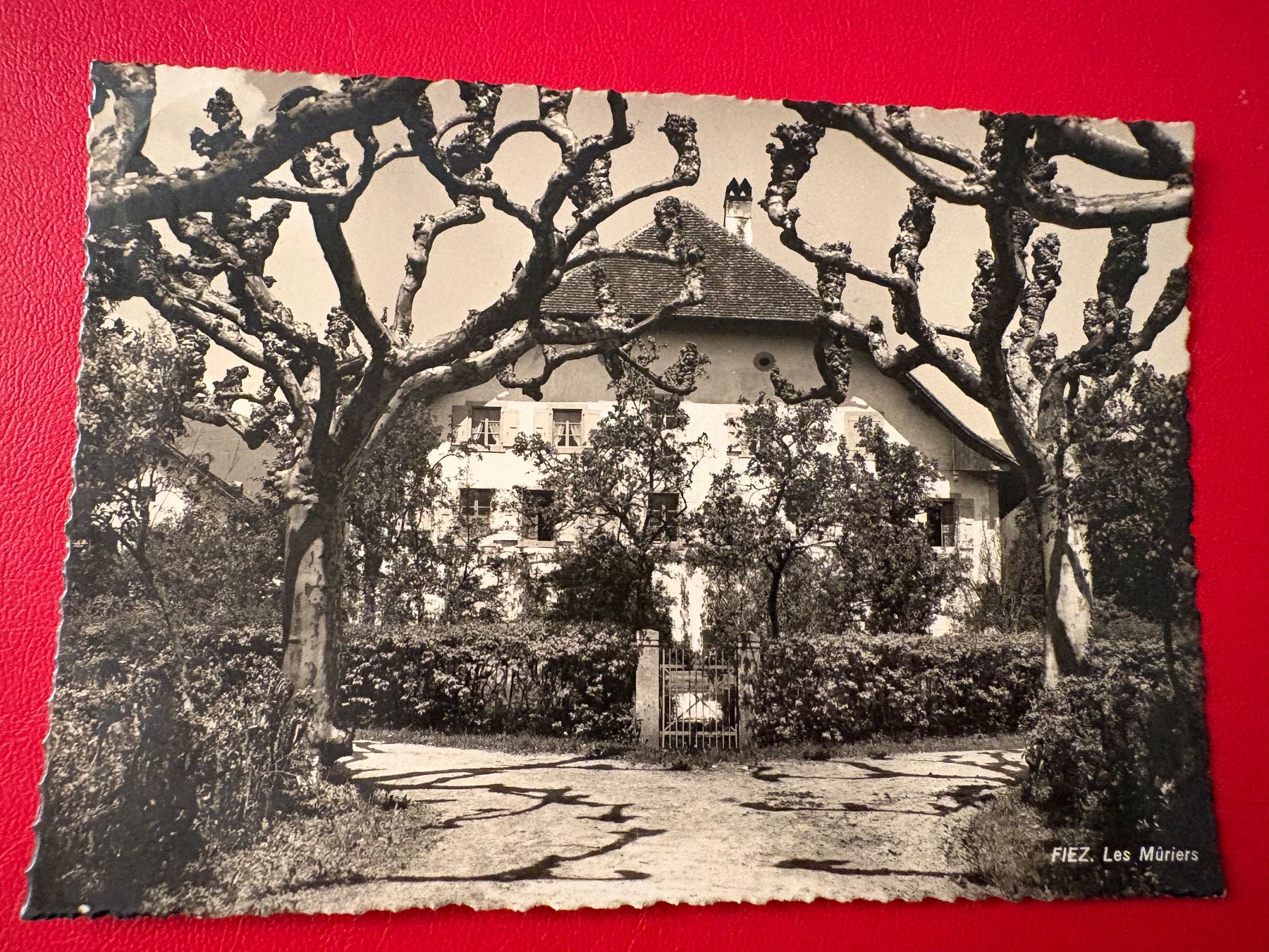 Ansichtskarten: Fiez - Les Mûriers – Gebraucht aus St-Légier-La Chiésaz von Theo005
