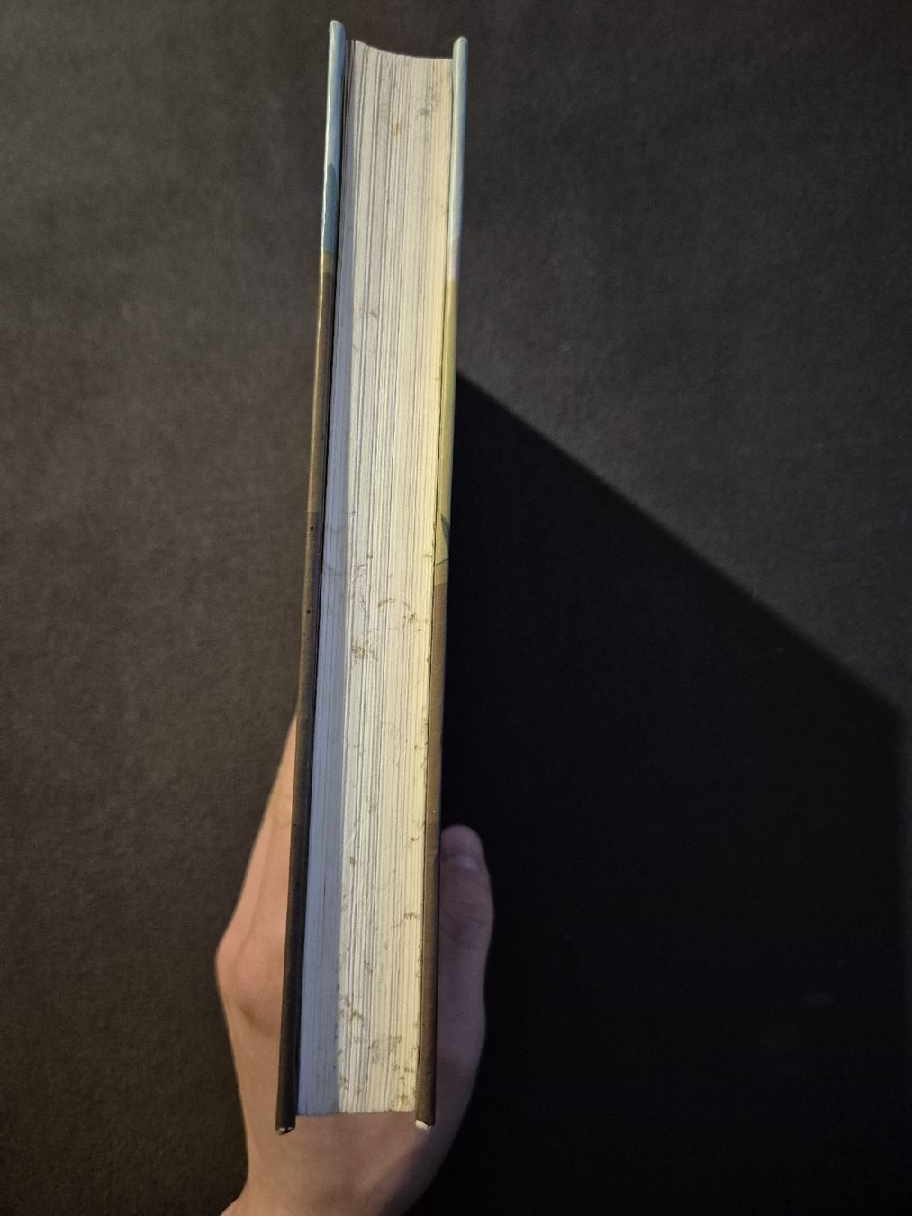 Libri: Kinderbuch: Der Fluch des Bonaventura – Usato da Nürensdorf venduto da luc_9ksf 3