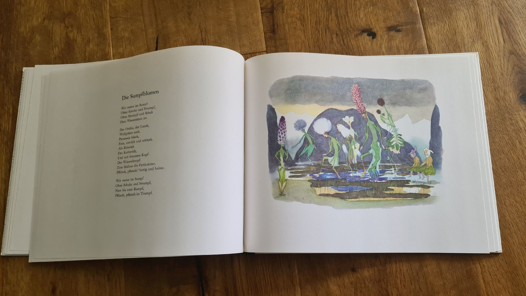 Libri: alpenblumenmärcher erich käster buch – Usato da Wittenbach venduto da Tigerlili 8