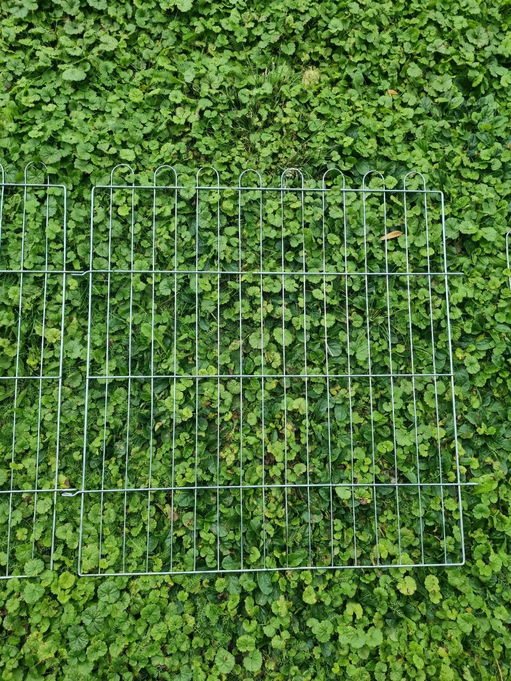 Altro: Grilles extérieures pour lapins/autres – Usato da Herrliberg venduto da revelune 2