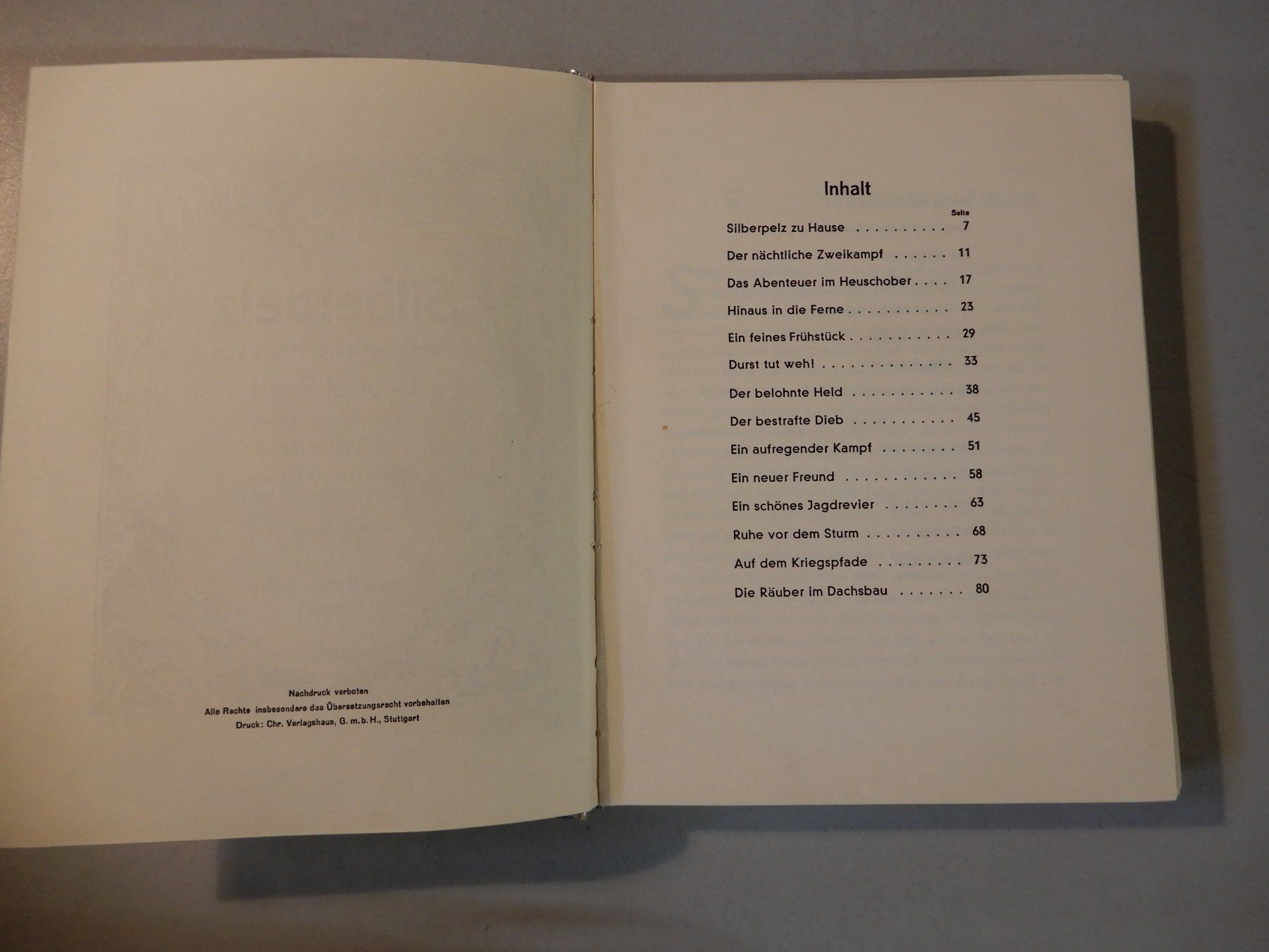 Libri: Silberpelz Abenteuer einer Katze, Gabriel Scott, 2. Auflage – Usato da Erstfeld venduto da Mario_boe0 3