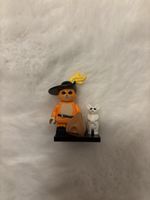 Shrek Minifigures Puss In Boots