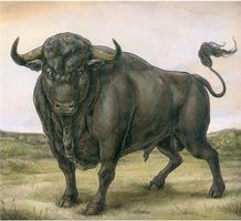 San Fermin (CD, Digipack)
