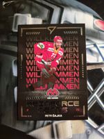 Petr Cajka EHC Biel 2025/26 Sportzoo
