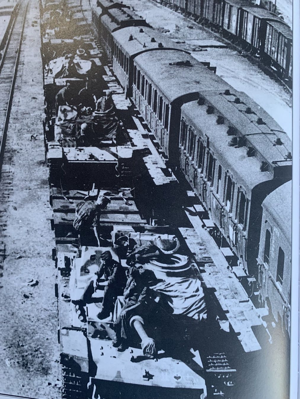 Libri: Die Geschichte der Waffen-SS – Usato da Volketswil venduto da zwitsch33 1