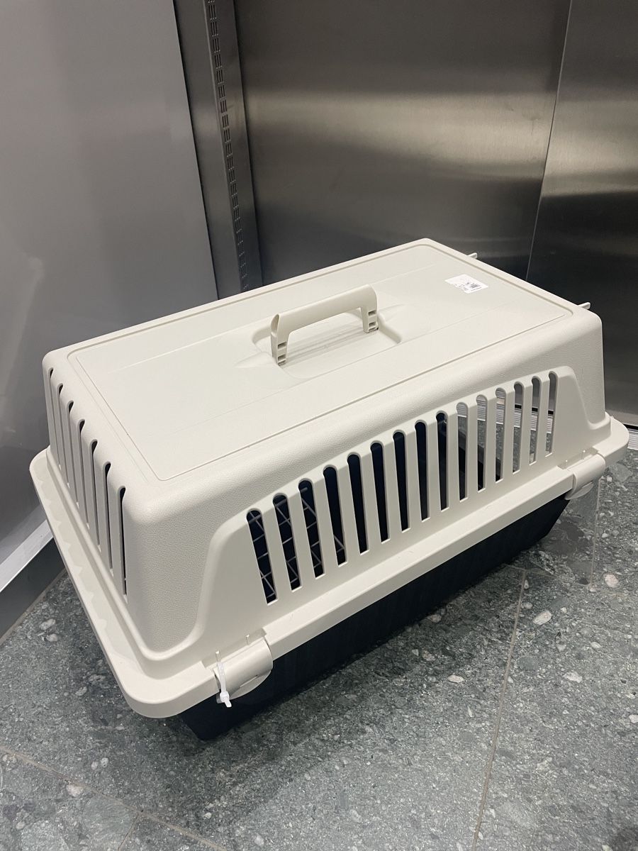 Niches, paniers: Transportbox Katze – D'occasion à Schlieren par kaeschef 1