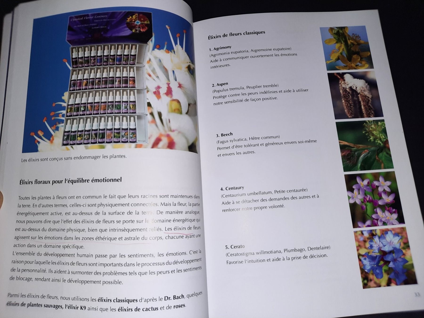 Bücher: Luminothérapie Holistique HLT – Gebraucht aus Biasca von Old_6blh 3