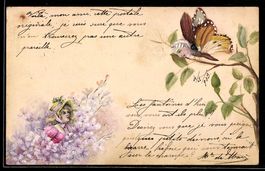 Handgemalt: Schmetterling mit menschlich