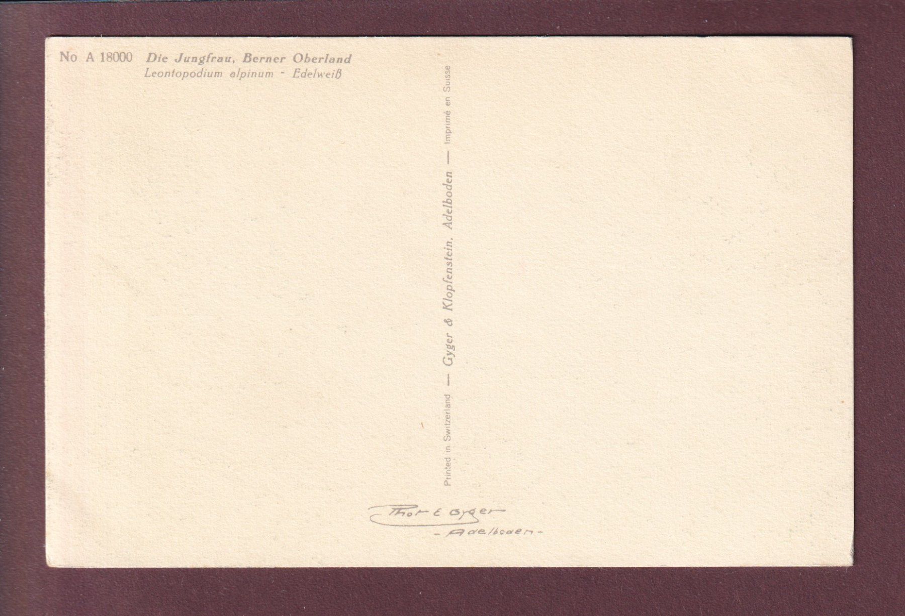 Cartoline postali: JUNGFRAU - Edelweiss – Usato da Pully venduto da nicecards 1
