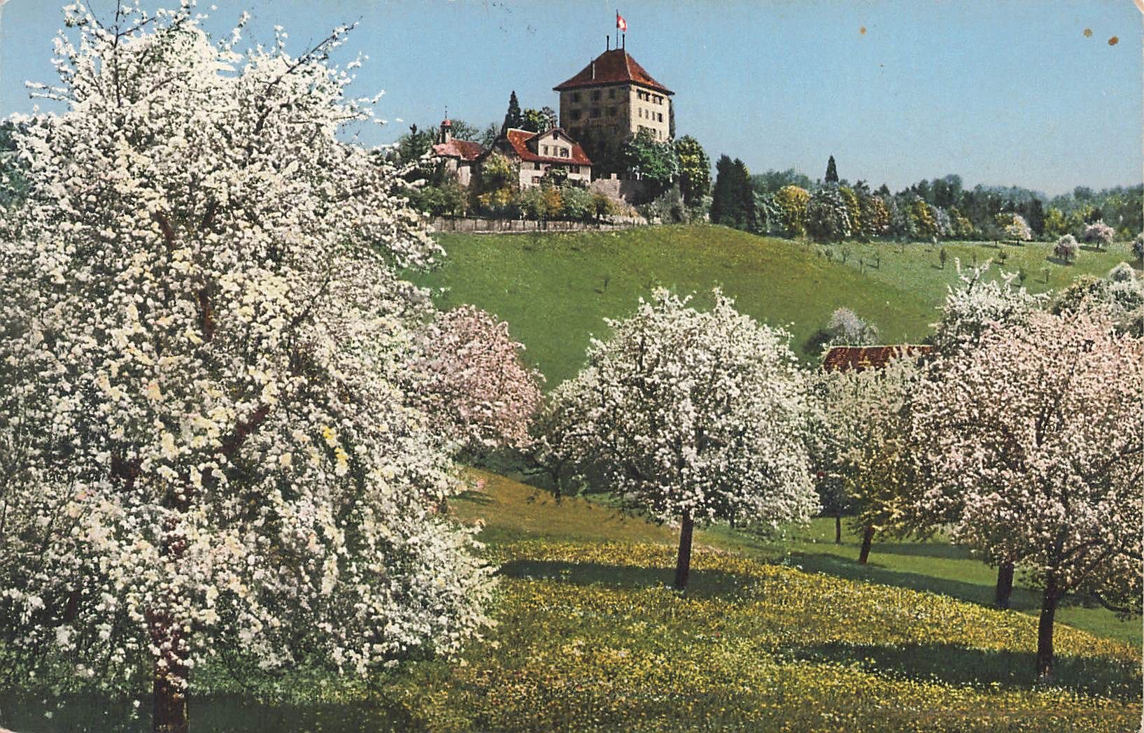 Cartoline postali: Schloss heidegg – Usato da Biasca venduto da Blenio71