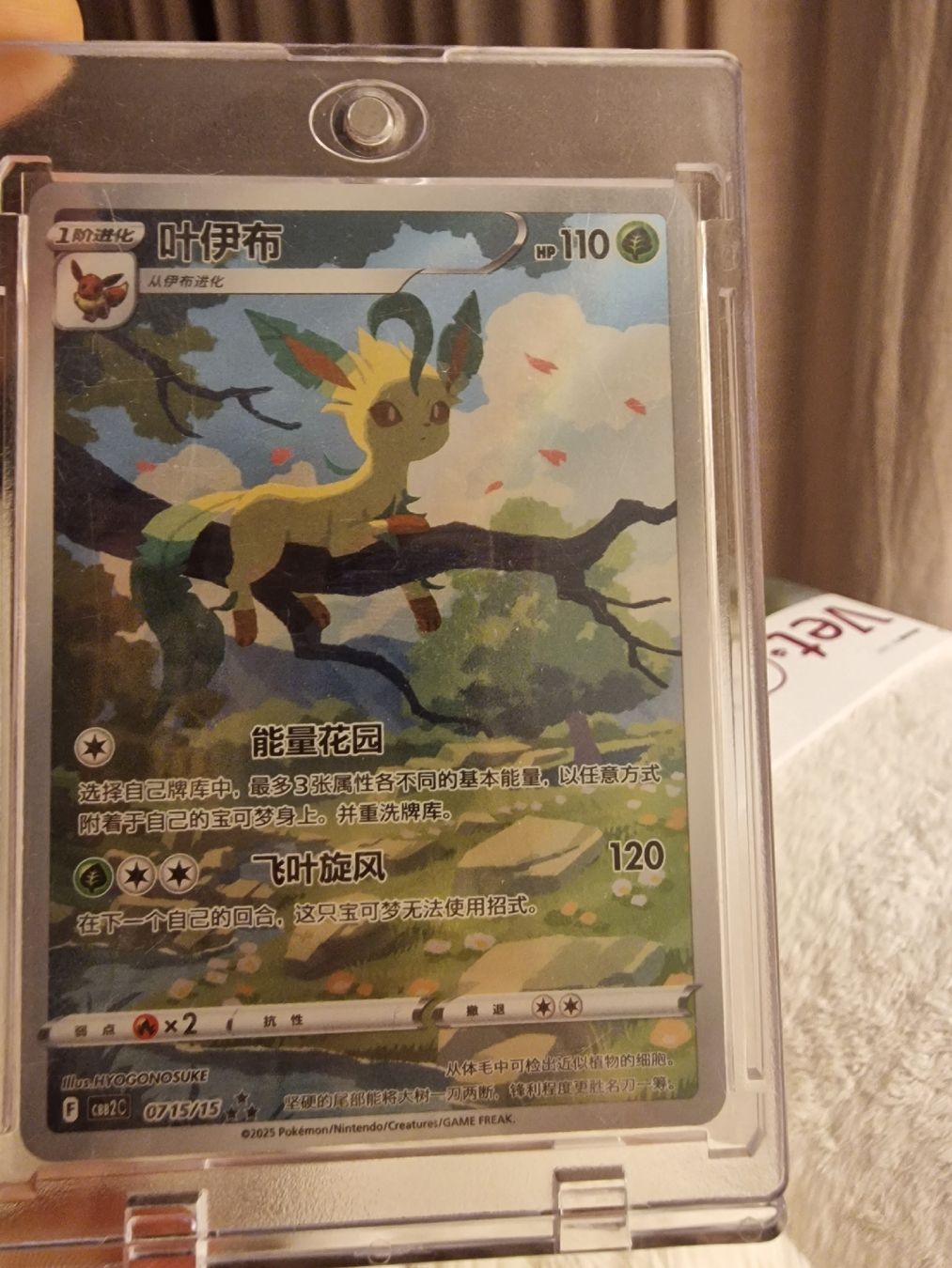 Pokémon Carte collezionabili: Folipurba💚Leafeon – Usato da Rheinfelden venduto da kub_7ckw 1