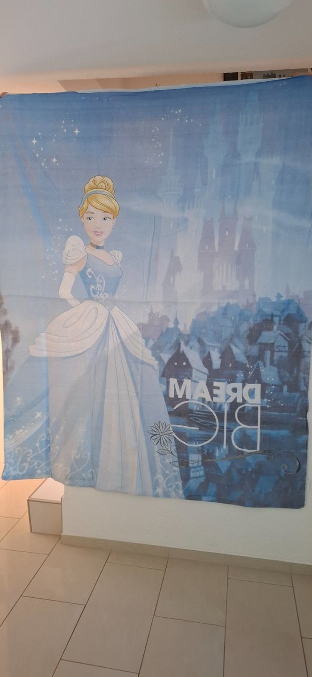 Biancheria da letto: Cinderella Bettwäsche – Usato da Richterswil venduto da Palmer2012 1