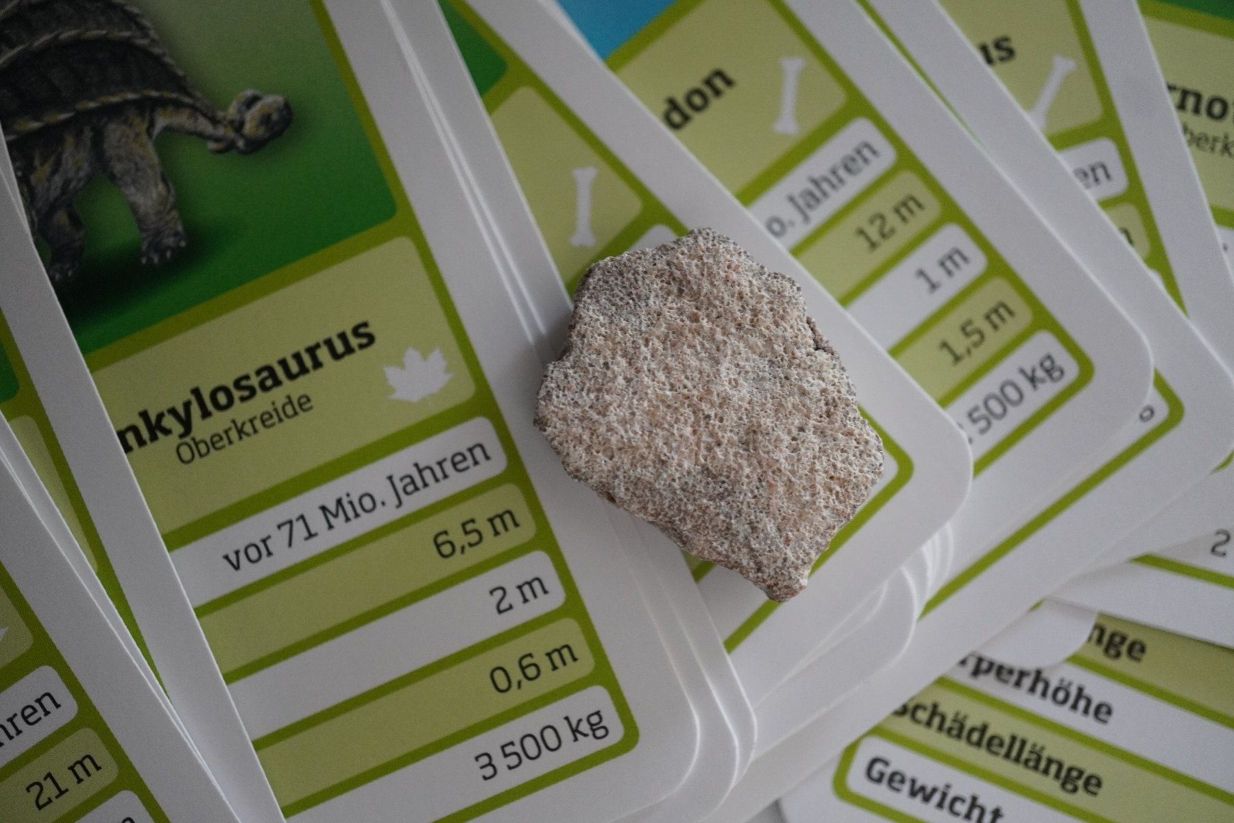 Fossilien: Titanosaurus Eierschale  73mio  Mit  Quartett   "Dinofan" – Neu und originalverpackt aus Eschenbach SG von craniums 3
