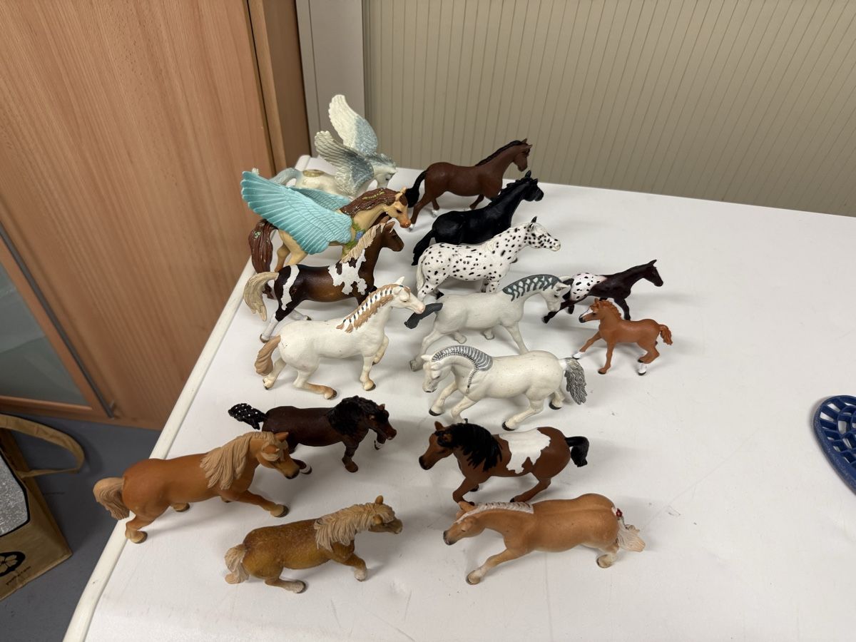 Schleich Giocattoli: Konvolut Schleich 16 Stück – Usato da Mönchaltorf venduto da xhedea_15 1