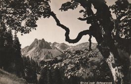 AK Schwarzsee - gelaufen