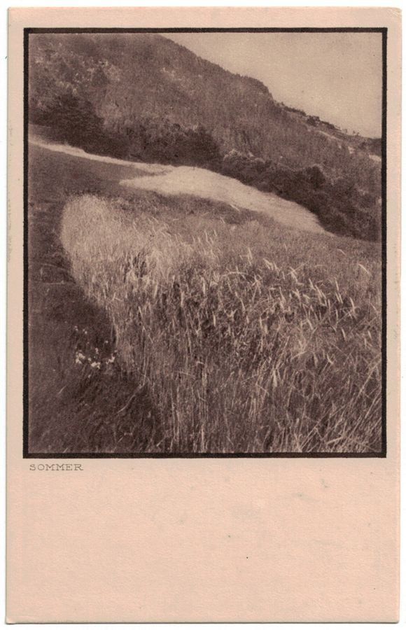 Cartoline postali: Sommer (Mischol) – Usato da Frauenfeld venduto da POML