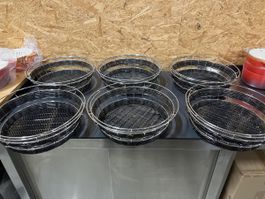 6 robuste Brot/Früchte Körbe, Abwaschbar