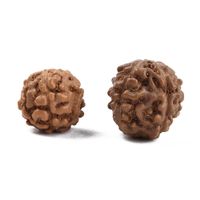 Holz  Rudraksha Perlen 6-9mm   1 Strang