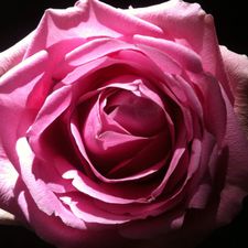 Profile image of GreenLifestyleBeauty