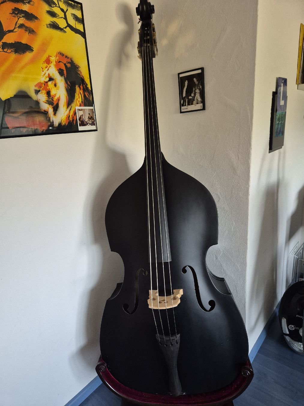 Thomann Musikinstrumente: Thomann kontrabass 111e 3/4  – Gebraucht aus Dielsdorf von 7TheRockDoc9