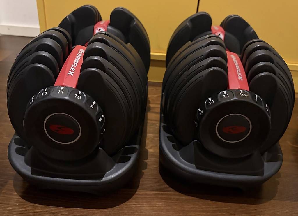 Hanteln & Gewichte: Bowflex SelectTech Adjustable Dumbbells  Pair – Gebraucht aus Zürich von akay2004