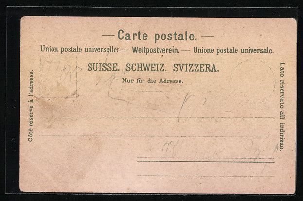 Cartoline postali: Litho Bern, Bärengraben, Gesamtansicht, – Usato da Berlin venduto da bartko-reher 1