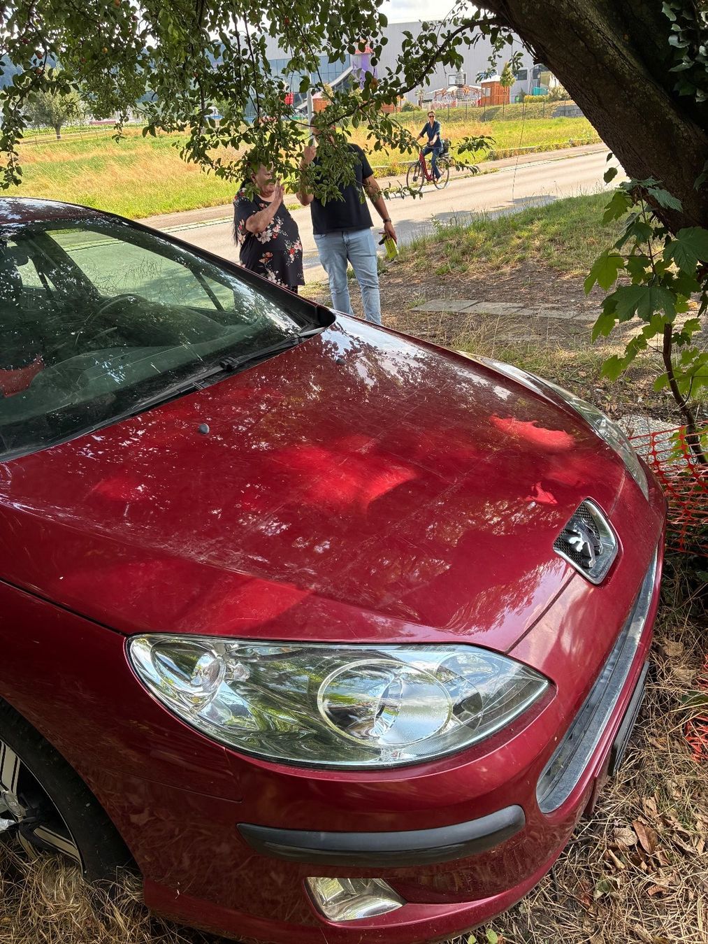 Peugeot Autos: fahrzeug – Gebraucht aus Stein am Rhein von lam_djz7 2