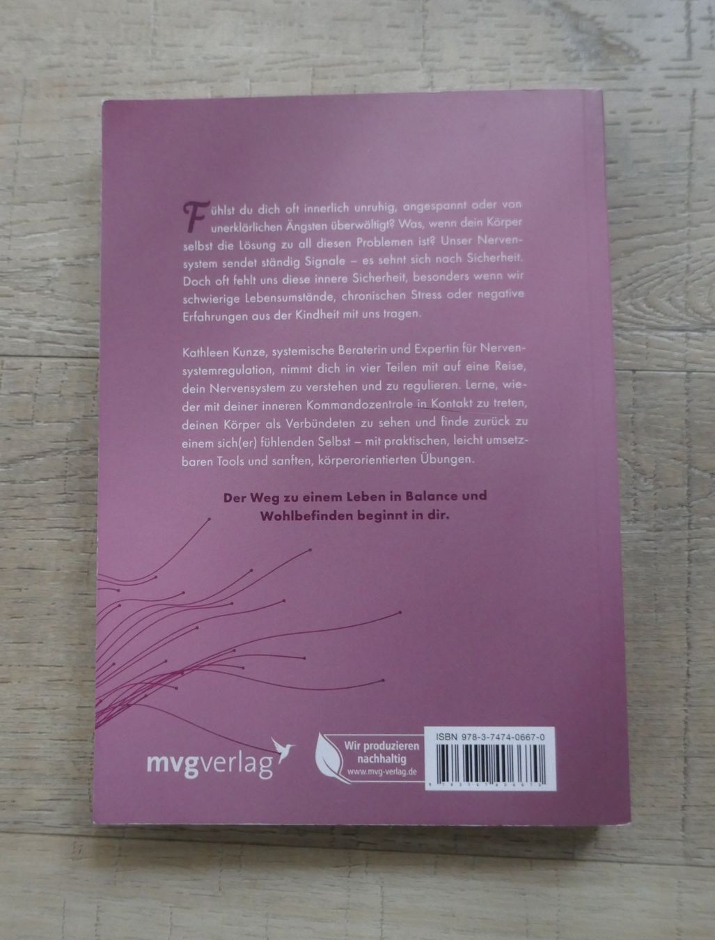 Bücher: Sicher fühlen von Kathleen Kunze – Gebraucht aus Port von uzuku 1