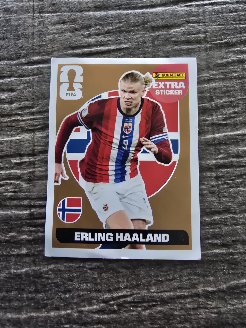 Panini Carte collezionabili: Erling Haaland Extra Sticker Bronze – Usato da Oberkirch LU venduto da adrian.felber