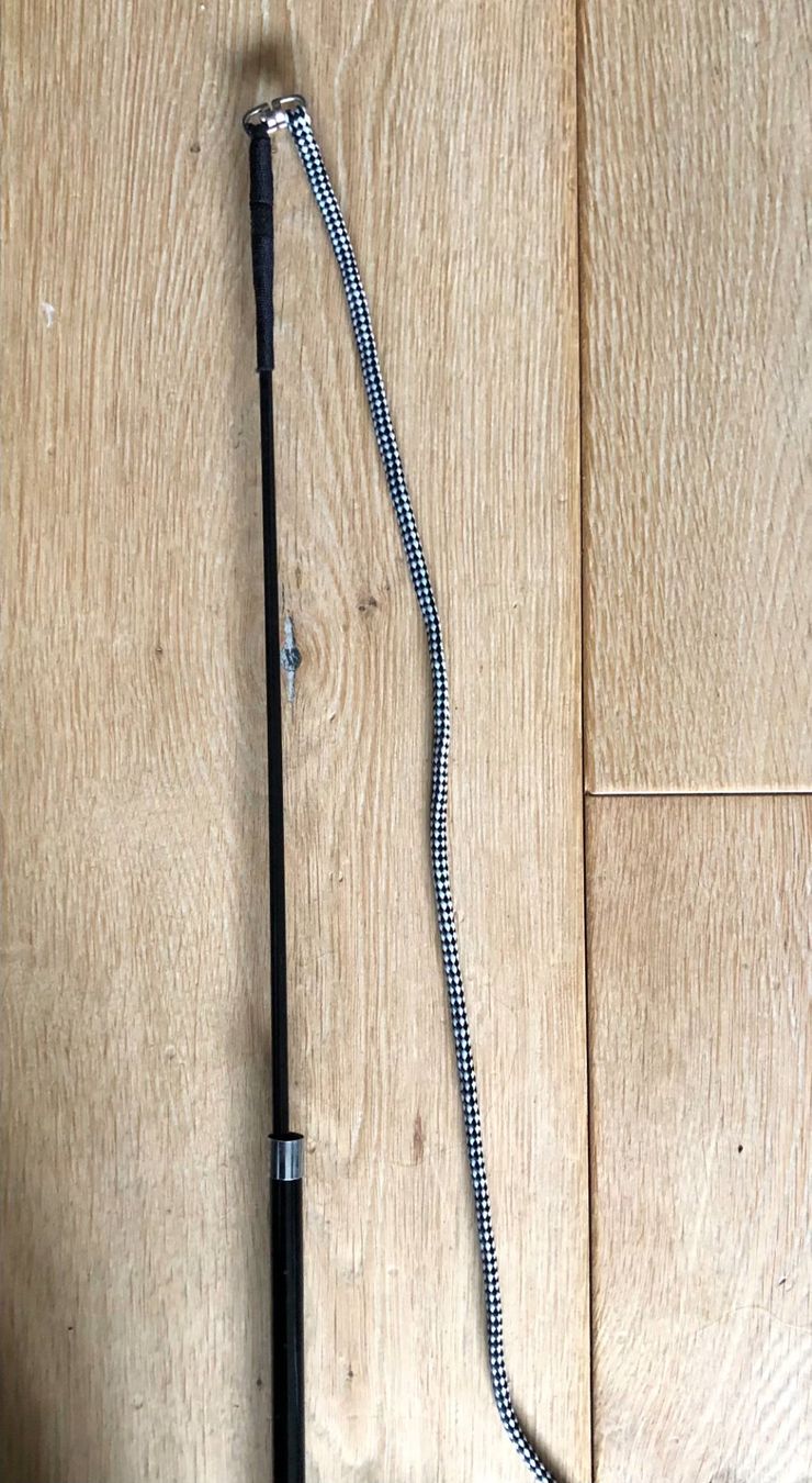 Altro in Accessori per animali: Longierpeitsche Teleskop utralight – Usato da Ebmatingen venduto da Puma_1 1