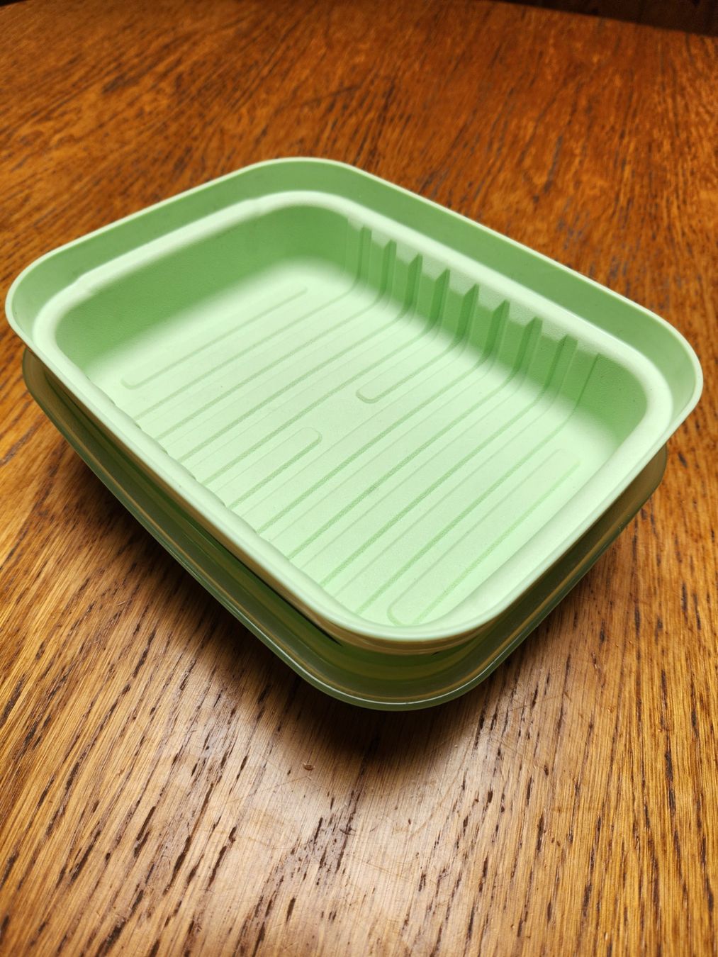 Tupperware Behälter & Ähnliches: Tupperware Kühlschrankbehälter Neu hellgrün – Neu (gemäss Beschreibung) aus Gstaad von Kuhstall-2026 4