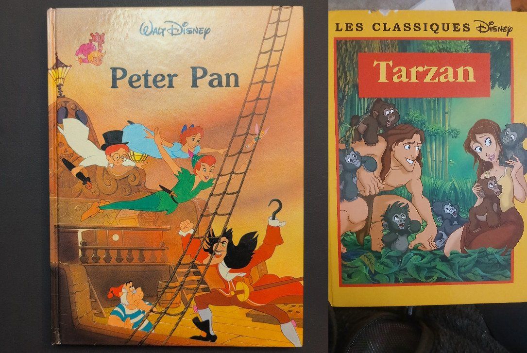 Lot de 2 Livres Disney: Tarzan et Peter Pan, parfait! (D&rsquo;occasion) à