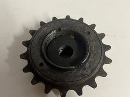 Freilauf Regina Extra S.I.C.C. Merate 18 Zähne