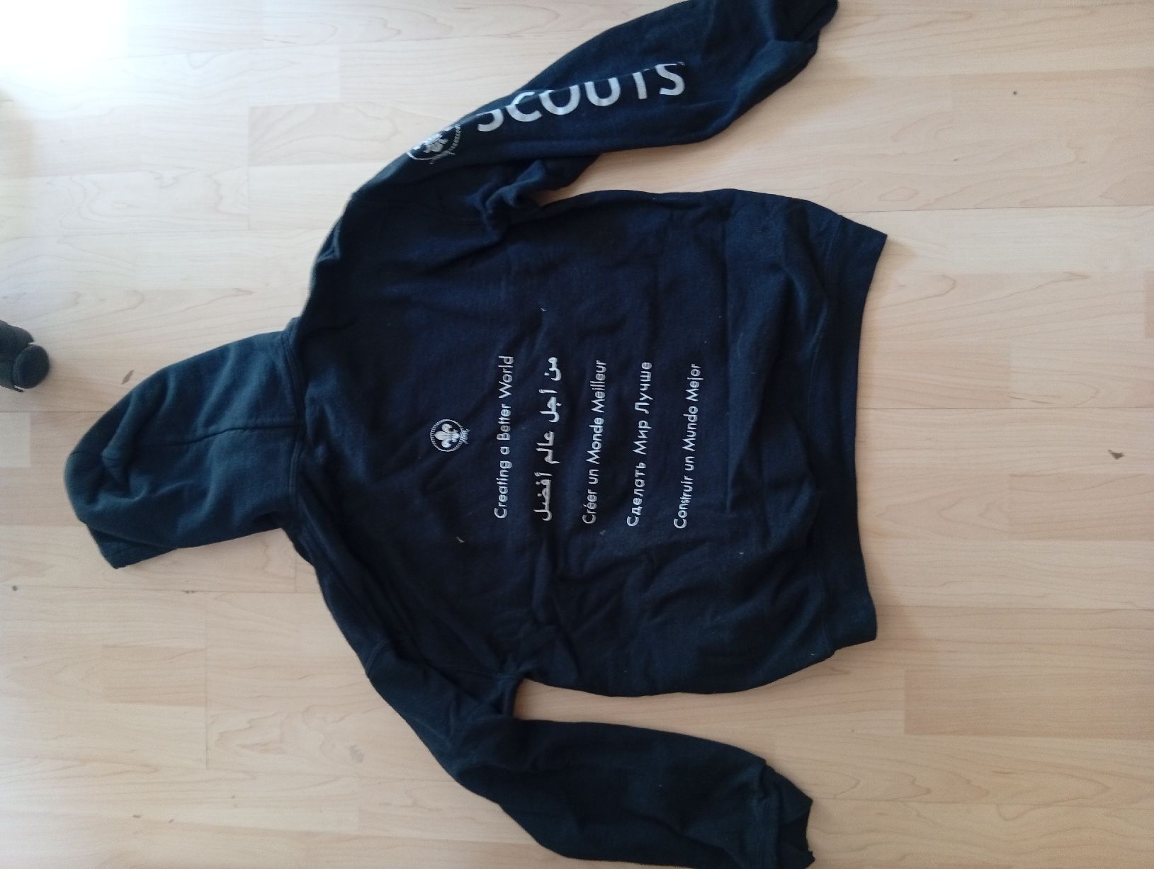 Pullover & Sweatshirts: pull scouts, pfadi – Gebraucht aus Porrentruy von cha_t622