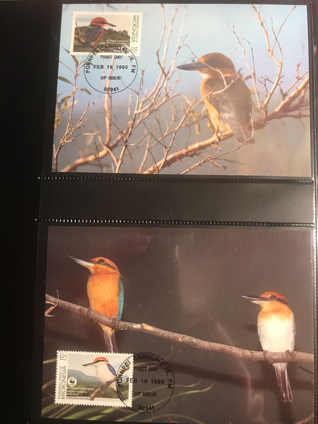 Tutti i francobolli: WWF Mikronesien 1990 Eisvogel Fruchttaube Maximumkarten – Nuovo (secondo la descrizione) da Liestal venduto da schnueps 1