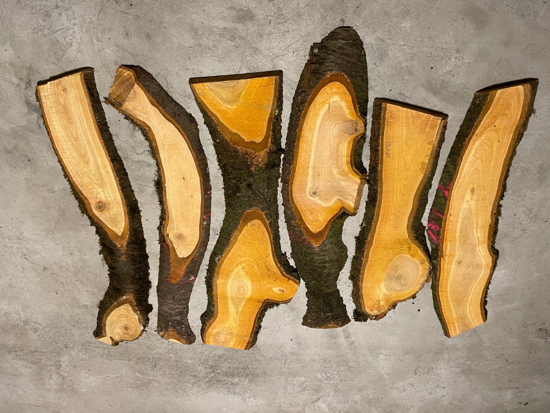 Articoli in legno: Vogel Kirschbaum Bretter – Nuovo (secondo la descrizione) da Ettingen venduto da Donald4107 1