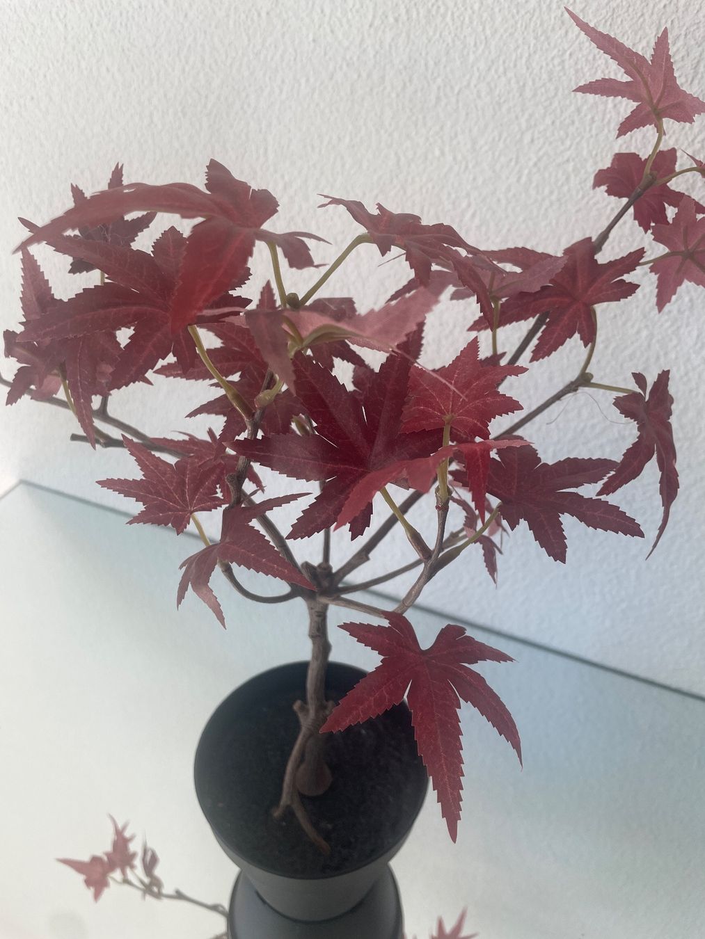 Tutte le decorazioni: Kunstblumen Roter Ahorn – Nuovo (secondo la descrizione) da Bellach venduto da cosmoderm 1