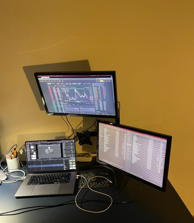 2 Monitore Asus mit Halterung und HDMI Kabel (Gebraucht) in Kloten für ...