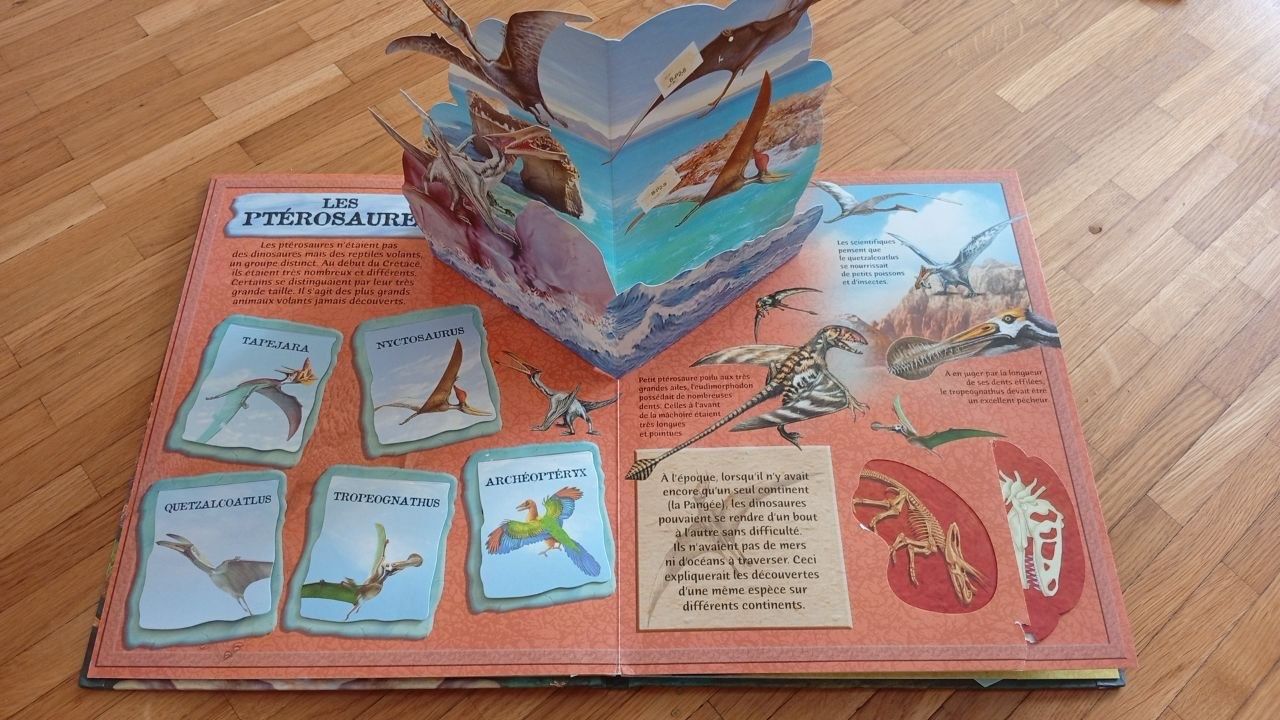 Libri: set de 3 livres "dinosaures" – Usato da Gland venduto da M_marc 7