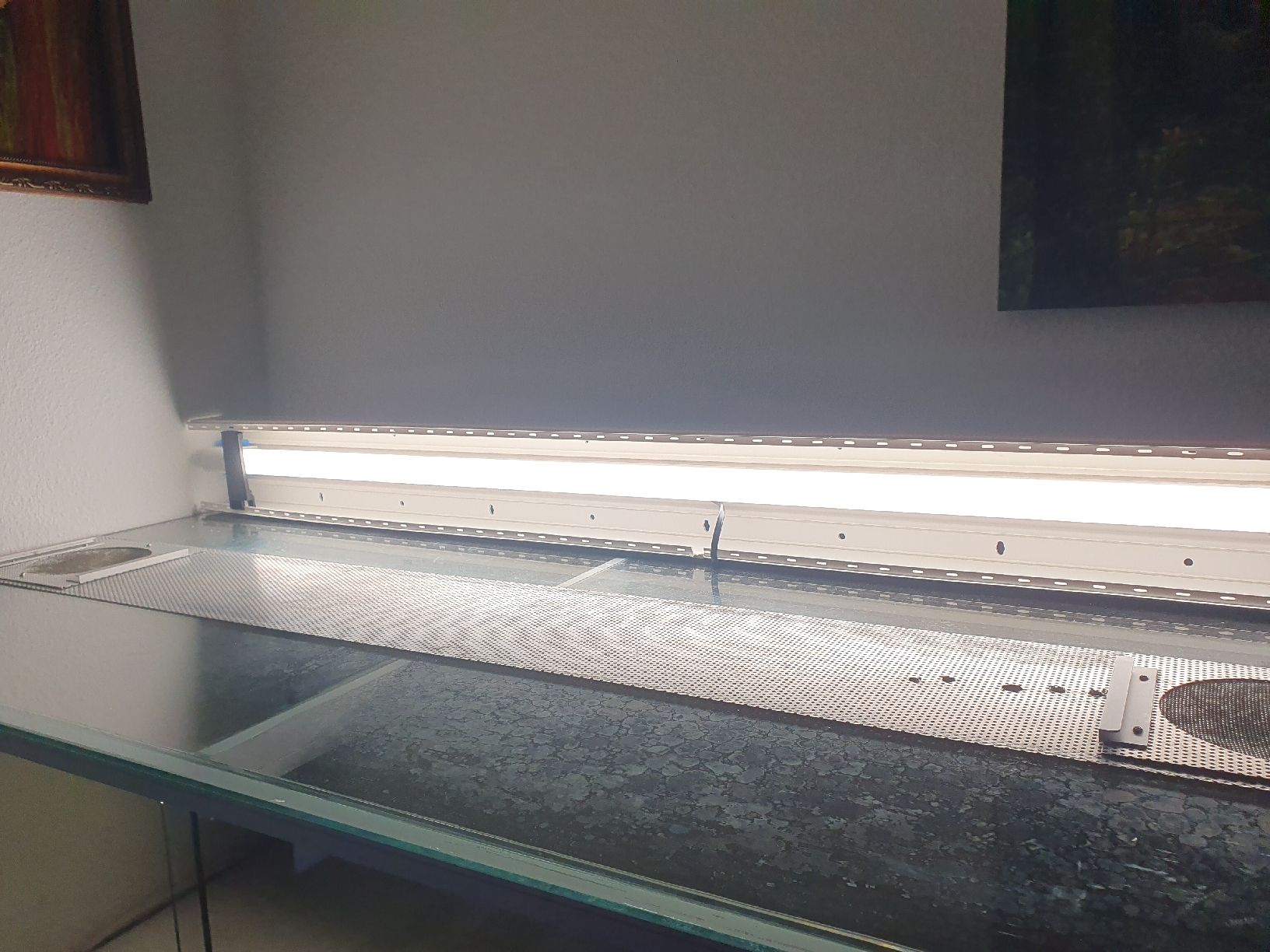 Terrario: Terrarium – Usato da Belp venduto da Liacheyenne 7
