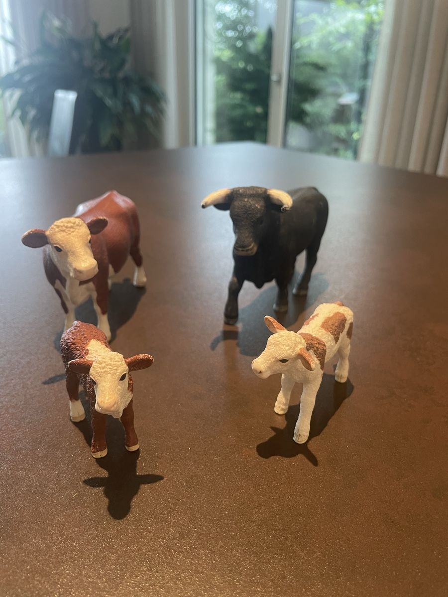 Schleich Statuette: Schleich Kühe – Usato da Walchwil venduto da Pirib82 1