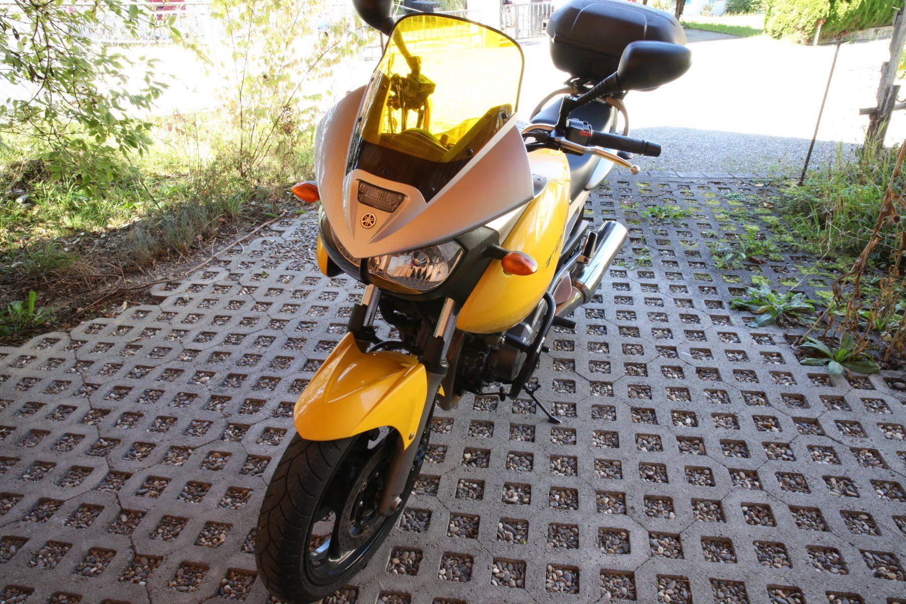 Yamaha Touring: Yamaha TDM 900, gelb / silber – Gebraucht aus Dietikon von Idefix66 6