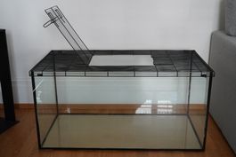 Terrarium mit Gitterabdeckung