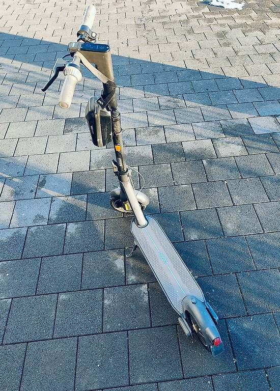 Kickboard: Ninebot KickScooter Max G30D – Usato da Bargen BE venduto da dr.snow