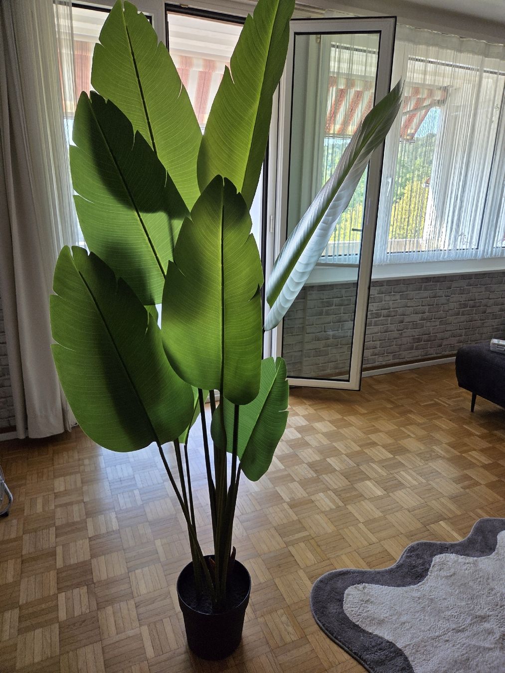 Tutte le decorazioni: Dekor Kunstpflanzen – Usato da Embrach venduto da Musti20 2