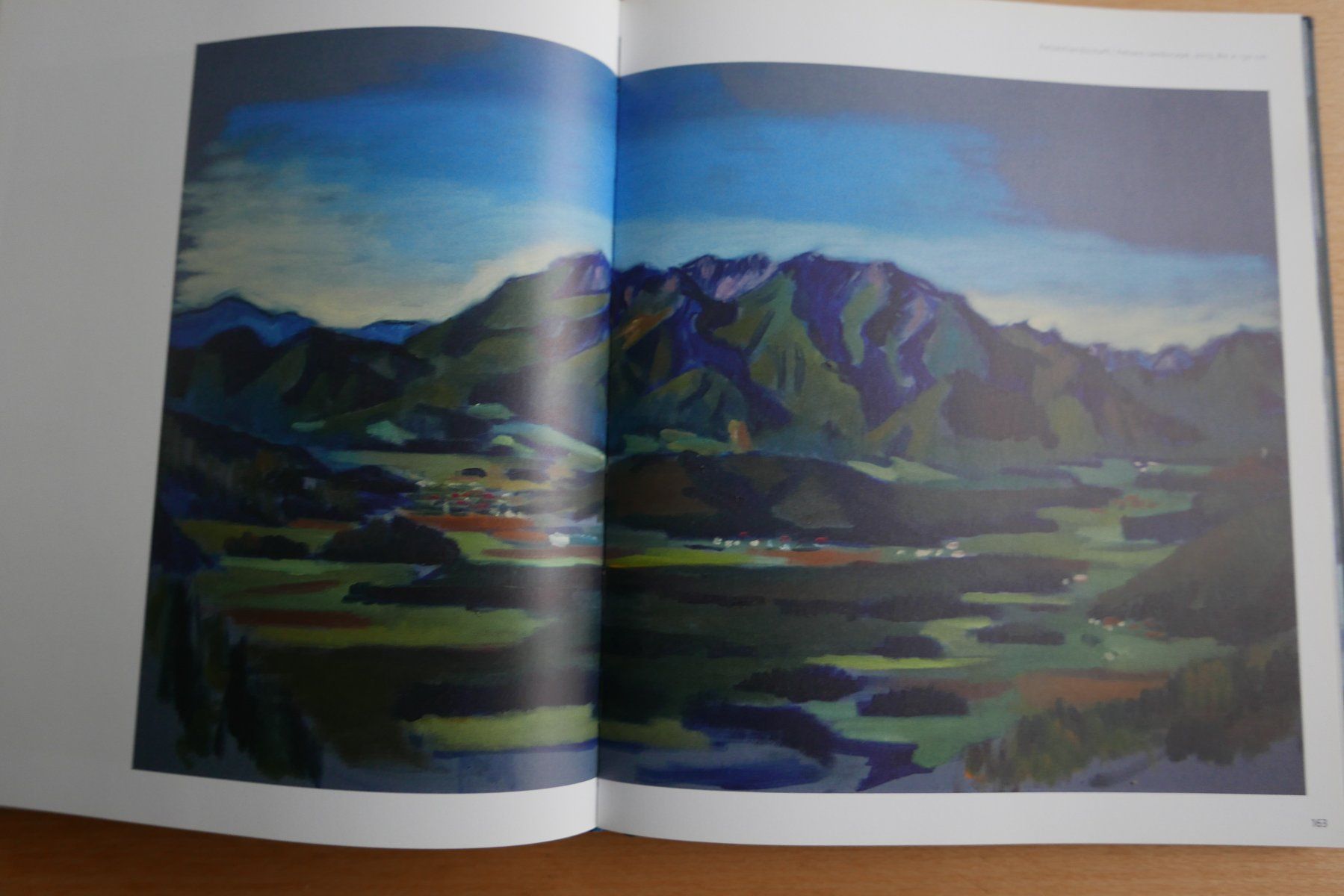 Bücher: Kunstbuch Harald Scheicher Malerei 2010-2014 – Gebraucht aus Rotkreuz von nigal 4
