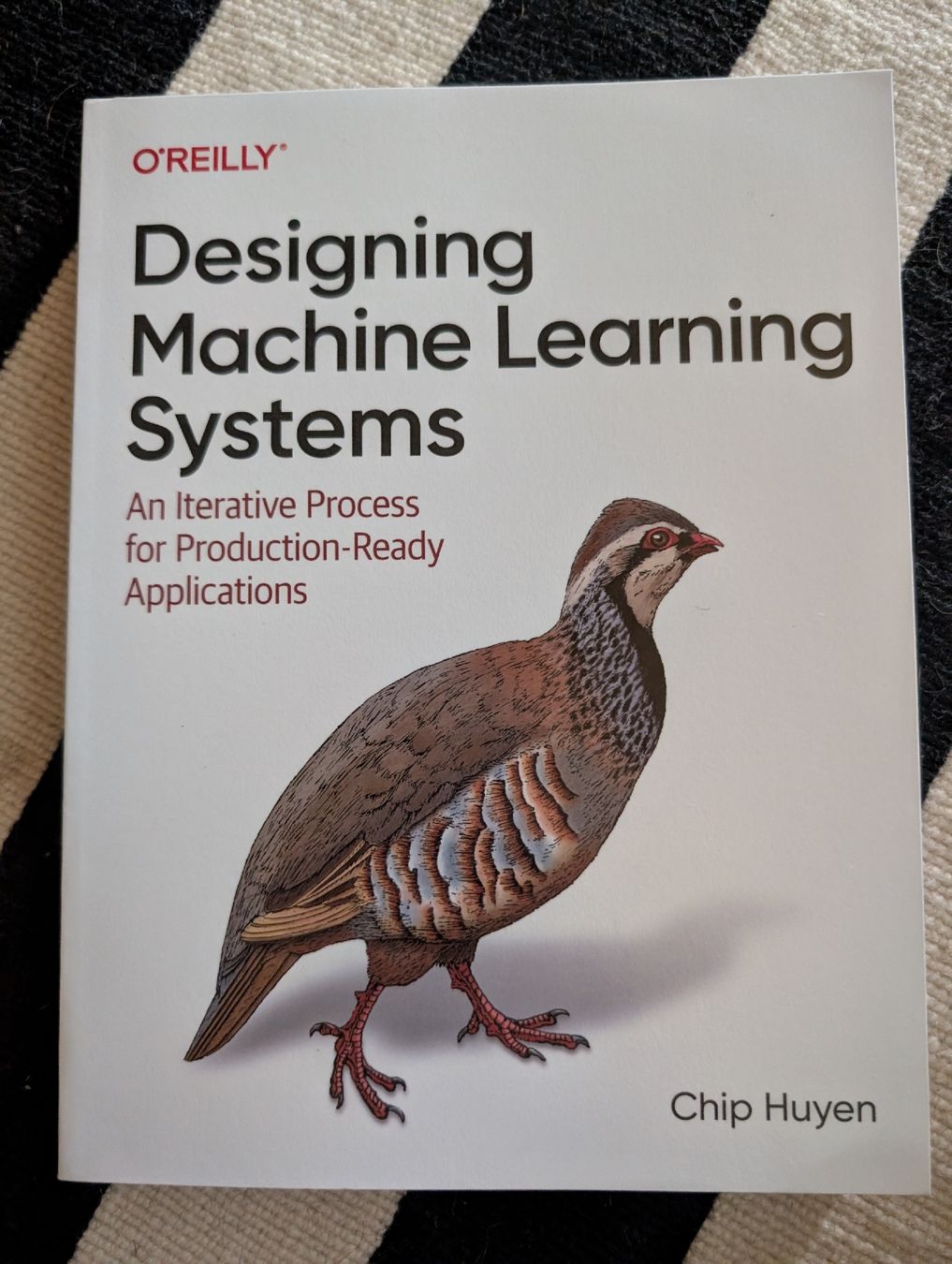 Livres: Designing MachineLearning Systems – Neuf (Voir description) à Oberwil-Lieli par stefim